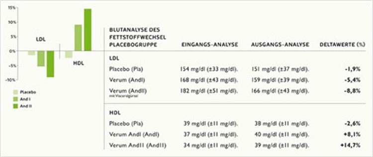 Ergebnisse der blutchemischen Untersuchungen der Subgruppen bzgl. der Fettstoffwechselwerte LDL, HDL